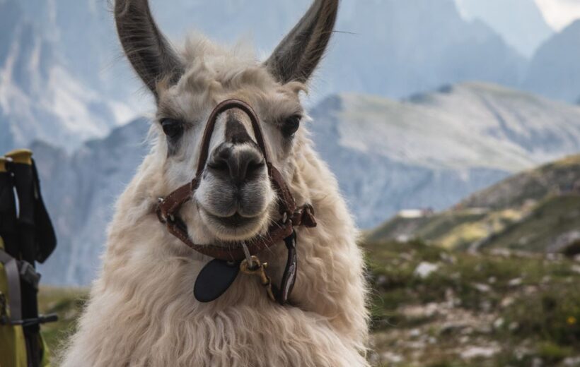 PERÚ: CUSCO & LIMA ESENCIAL